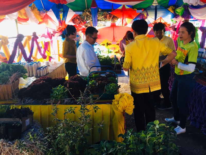 งานบุญกุ้มข้าวใหญ่ 2563 ซุ้ม OTop ตำบลโนนข่า 